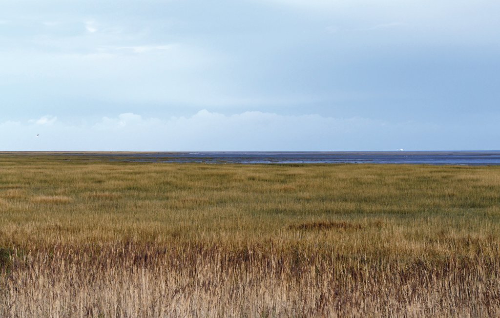Maison pierre rénovée Brucheville, 5 km plages Utah - Photo 25
