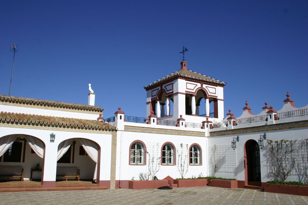 Cortijo andalou 12 pers., piscine et cour intérieure - Photo 15