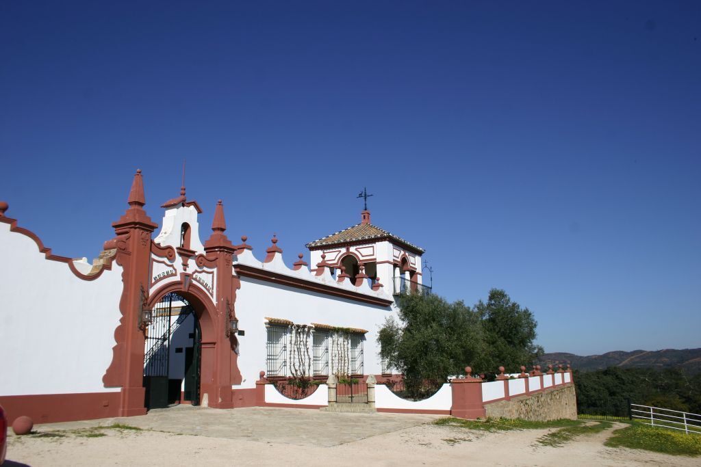 Cortijo andalou 12 pers., piscine et cour intérieure - Photo 16