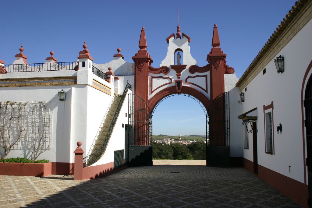 Cortijo andalou 12 pers., piscine et cour intérieure - Photo 17