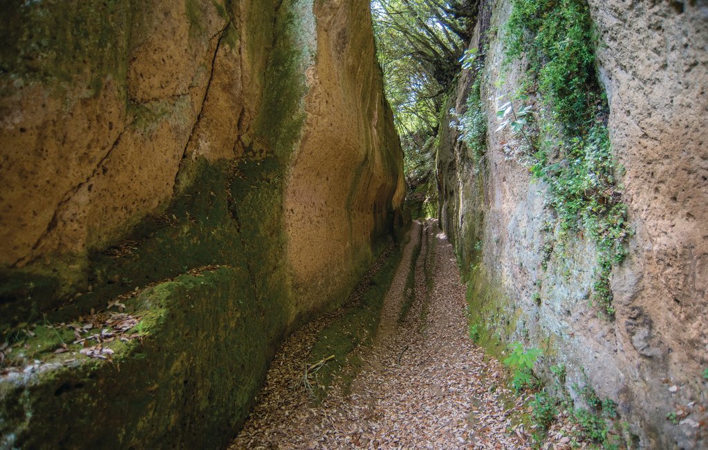 L'Ortale – Maison avec piscine à Pitigliano - Photo 18
