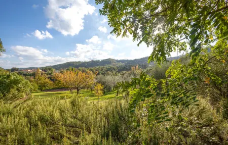 Il Colle, ancienne ferme en Toscane pour 6 personnes : photo 5