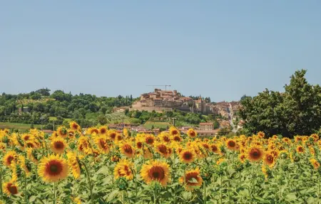 Il Colle, ancienne ferme en Toscane pour 6 personnes : photo 20