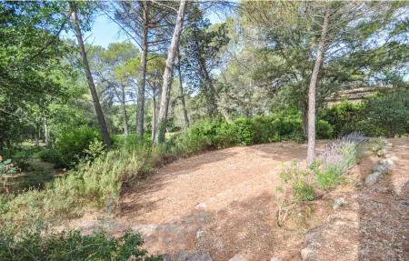 Maison 72 m² en forêt avec jardin, idéale randonnée : photo 12