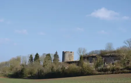 Maison jumelée 127 m² avec jardin à Chigny : photo 19