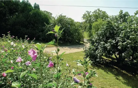 Maison 5 chambres avec piscine privée et 30 hectares de forêt : photo 9