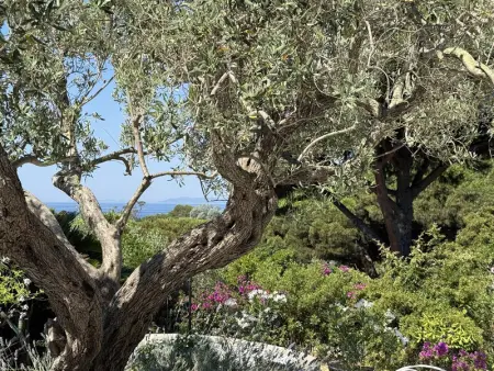 Location maison de vacances à La Croix Valmer
