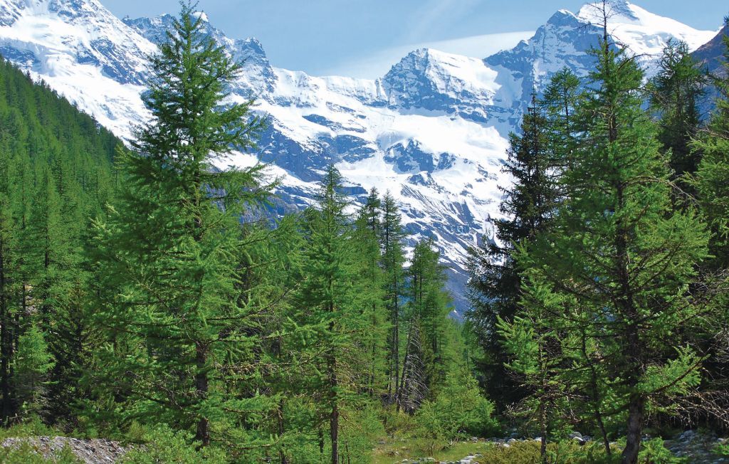 Maison Grapein, duplex montagne avec vue vallée à Cogne - Photo 22