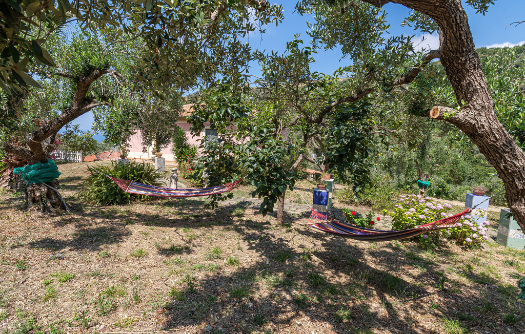 Maison 140 m² piscine privée, oliveraie 2 ha, Cilento - Photo 7