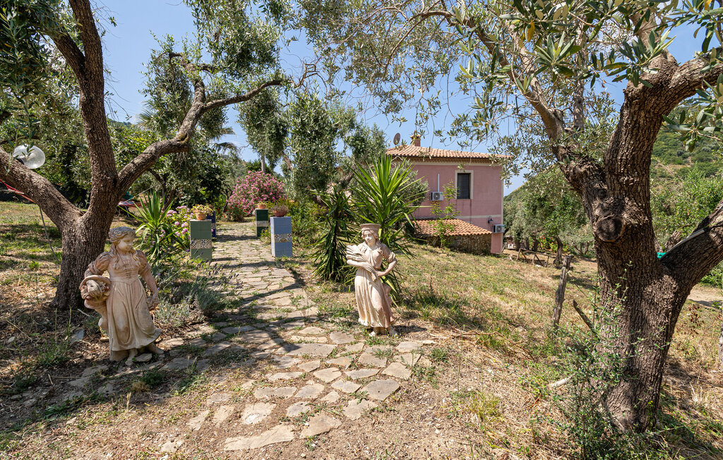 Maison 140 m² piscine privée, oliveraie 2 ha, Cilento - Photo 18