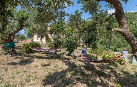 Maison 10 personnes à S.Mauro Cilento  SA - Photo 6
