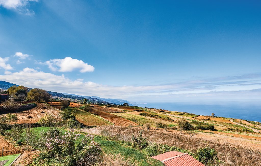 Maison vue Atlantique à Icod el Alto, Ténériffe - Photo 6