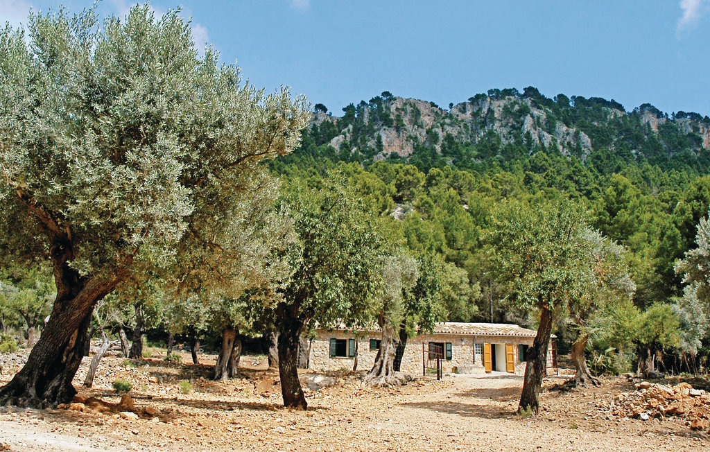 Maison 6 personnes à Estellencs - Photo 7