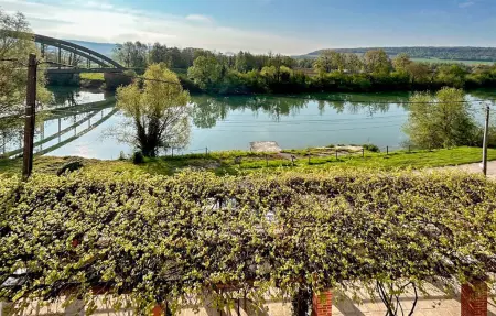Maison Jaulgonne, terrasse vignes et vue Marne : photo 8