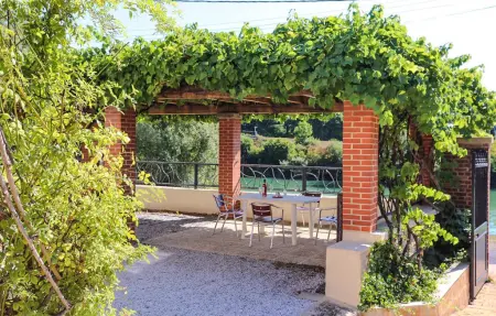 Maison Jaulgonne, terrasse vignes et vue Marne : photo 10