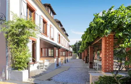 Maison Jaulgonne, terrasse vignes et vue Marne : photo 11