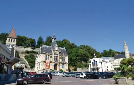 Maison Jaulgonne, terrasse vignes et vue Marne : photo 22