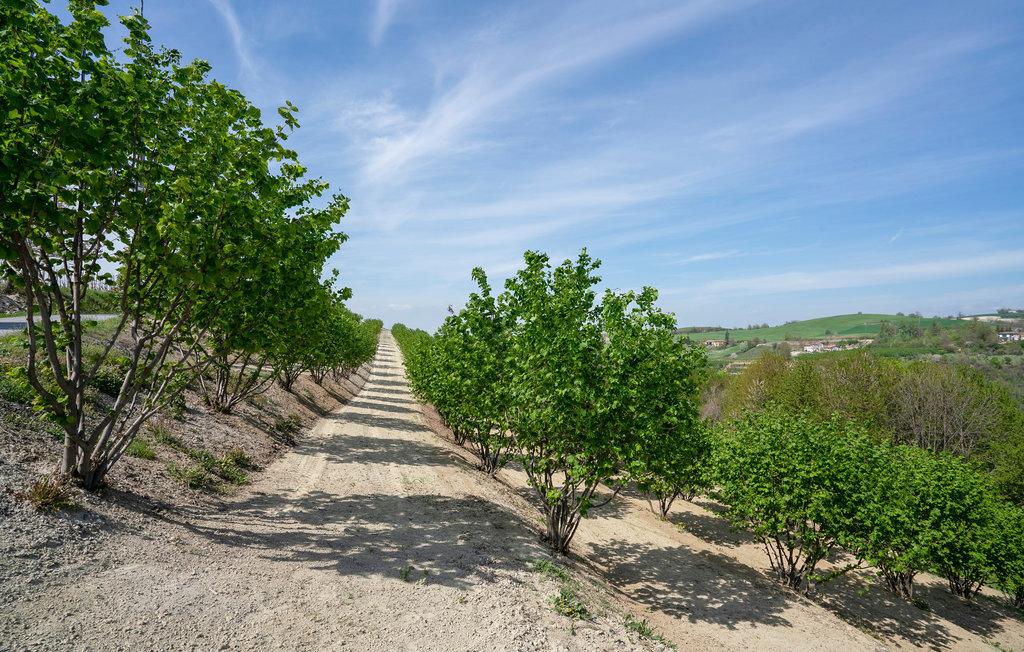 Maison aux Langhe avec vignobles, piscine et terrasses - Photo 9