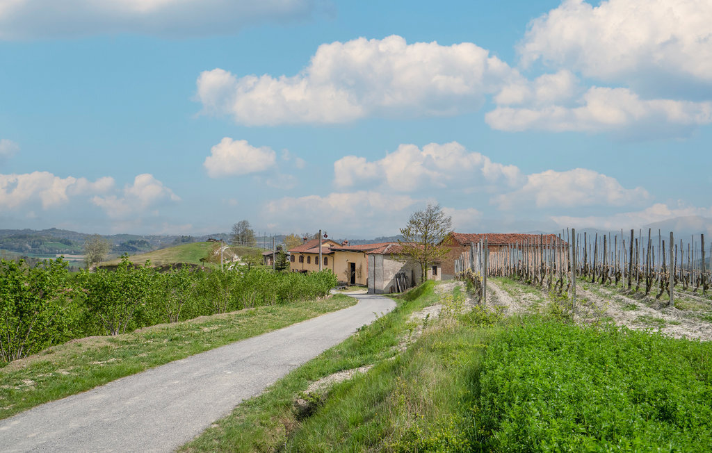 Maison aux Langhe avec vignobles, piscine et terrasses - Photo 13