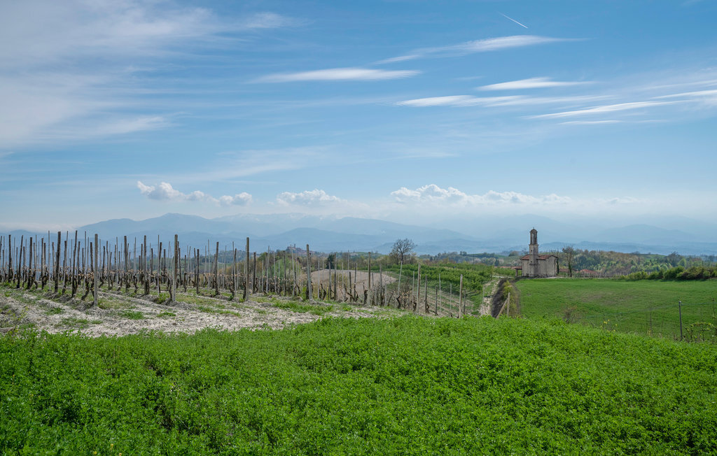 Maison aux Langhe avec vignobles, piscine et terrasses - Photo 42