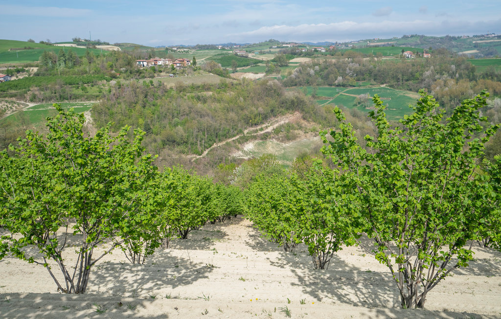 Maison aux Langhe avec vignobles, piscine et terrasses - Photo 43