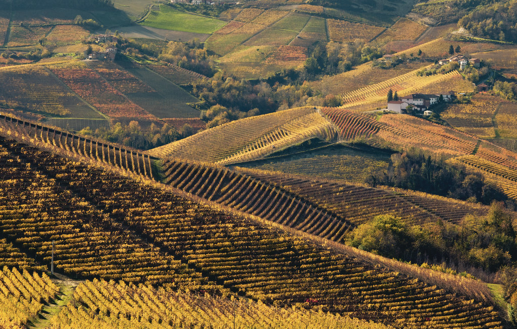 Maison aux Langhe avec vignobles, piscine et terrasses - Photo 44