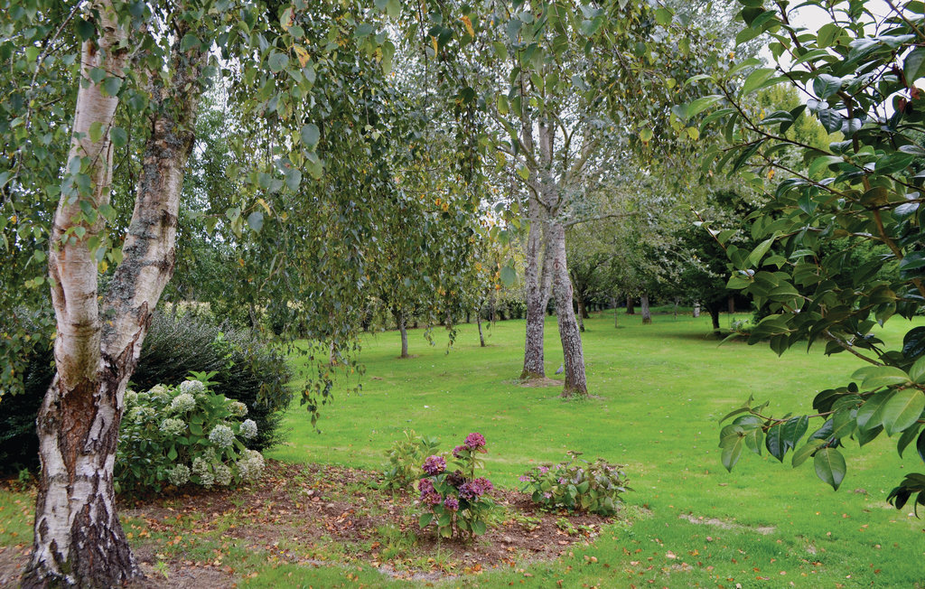 Maison bretonne 90 m² avec jardin de 6000 m² - Photo 8