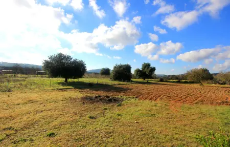 Maison 4 personnes à Algaida - Photo 8