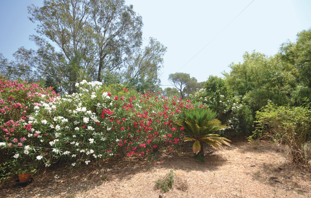 Maison 10 personnes à Saint Raphael - Photo 13
