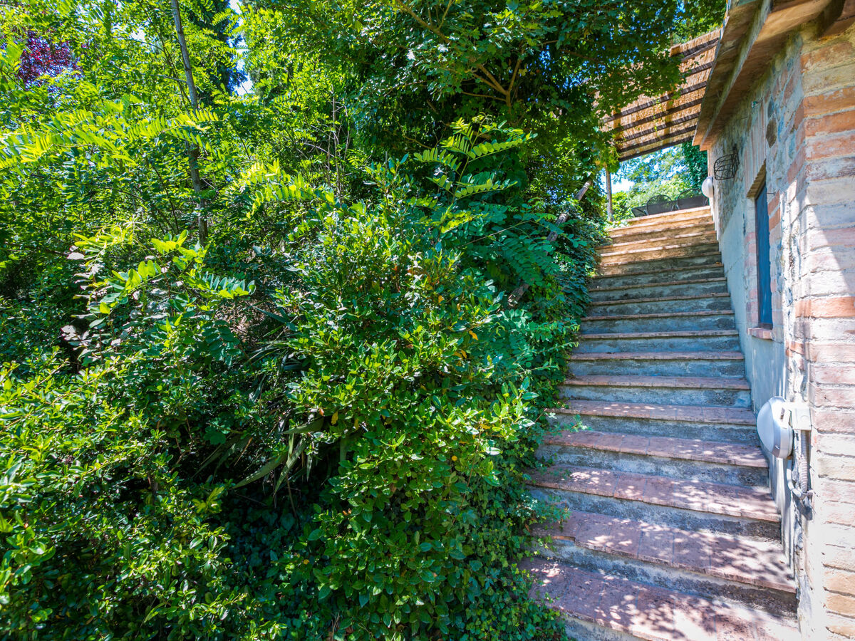 Podere S Giovanni – Gîte 12 pers. avec piscine - Photo 30
