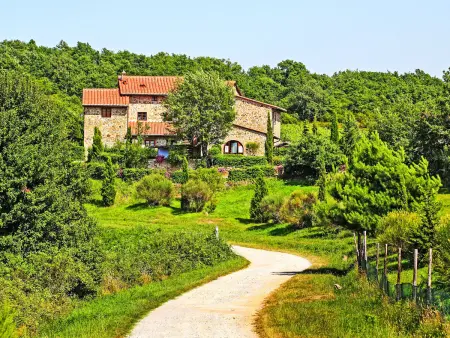 Il Ghiro n°8 – Gîte 4 pers. en domaine Chianti : photo 6