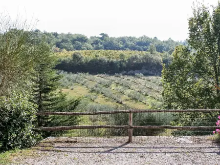 Coccinella n°6 – Gîte 4 pers. en plein Chianti : photo 8