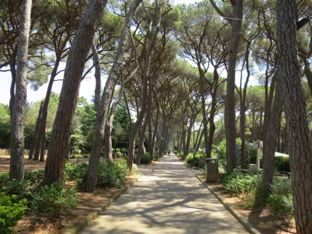 Podere La Madonnina – Gîte 10 pers. avec piscine : photo 50