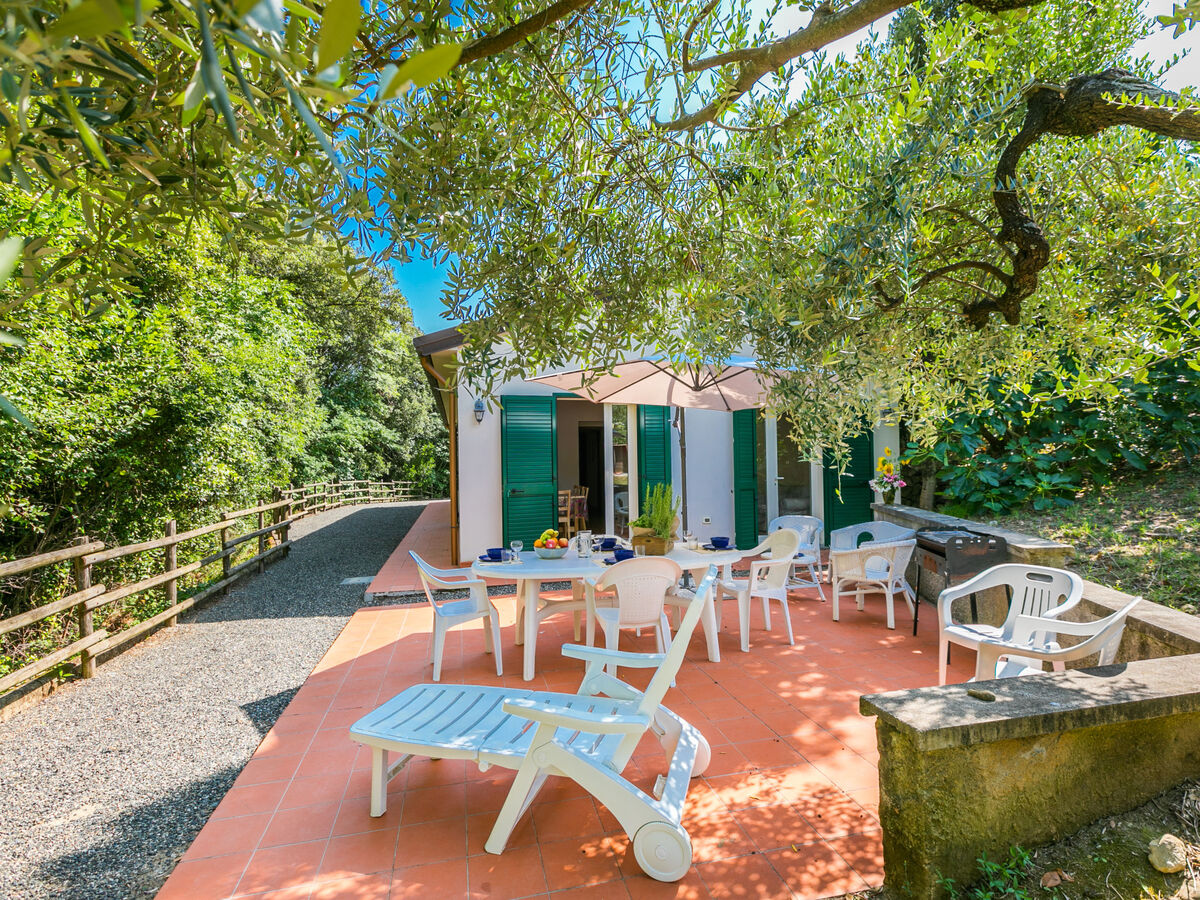 Maison Podere gli Olivi à Castiglioncello, piscine - Photo 1