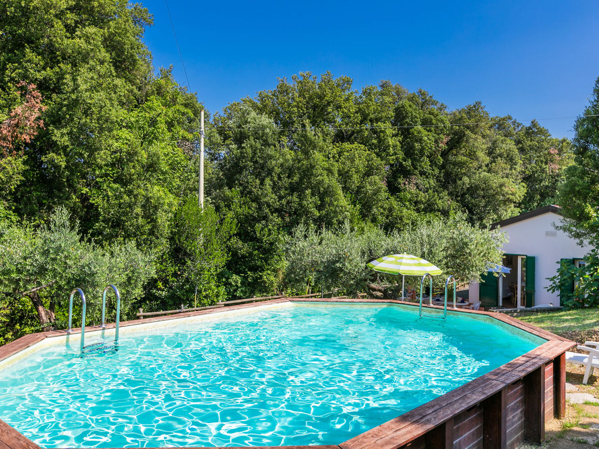 Maison Podere gli Olivi à Castiglioncello, piscine - Photo 2