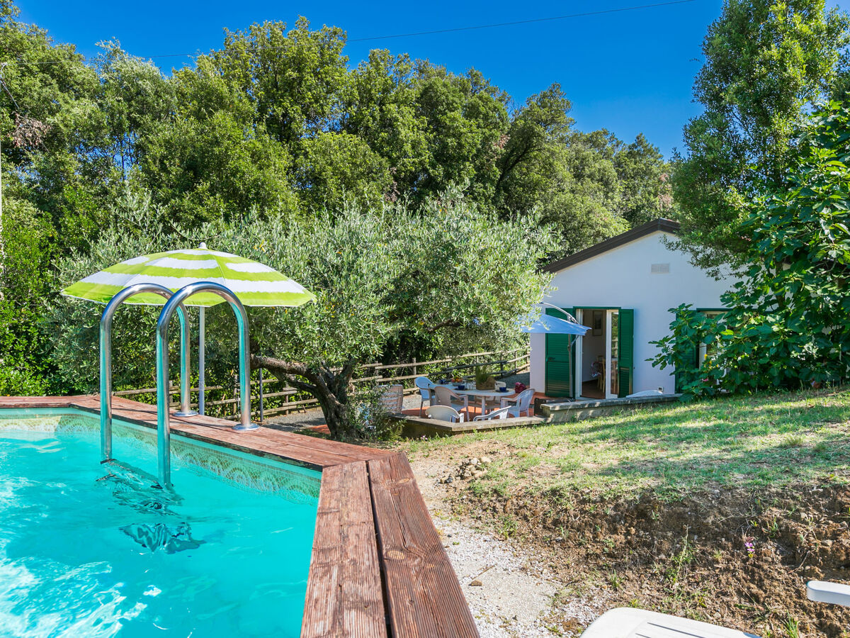 Maison Podere gli Olivi à Castiglioncello, piscine - Photo 4