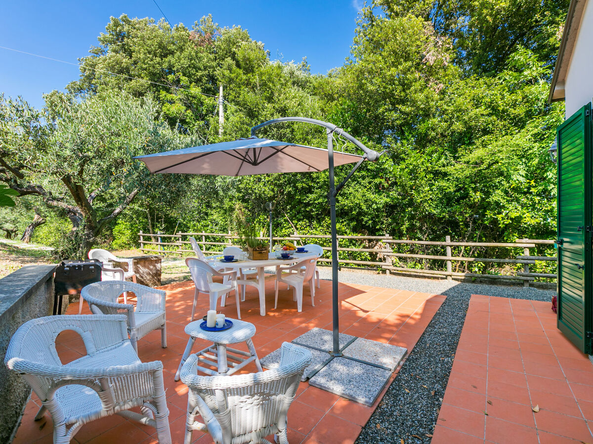 Maison Podere gli Olivi à Castiglioncello, piscine - Photo 5