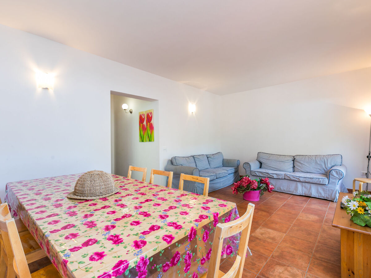 Maison Podere gli Olivi à Castiglioncello, piscine - Photo 8