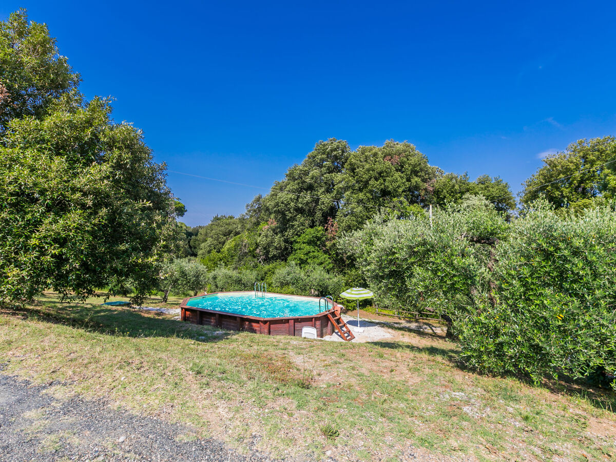 Maison Podere gli Olivi à Castiglioncello, piscine - Photo 31