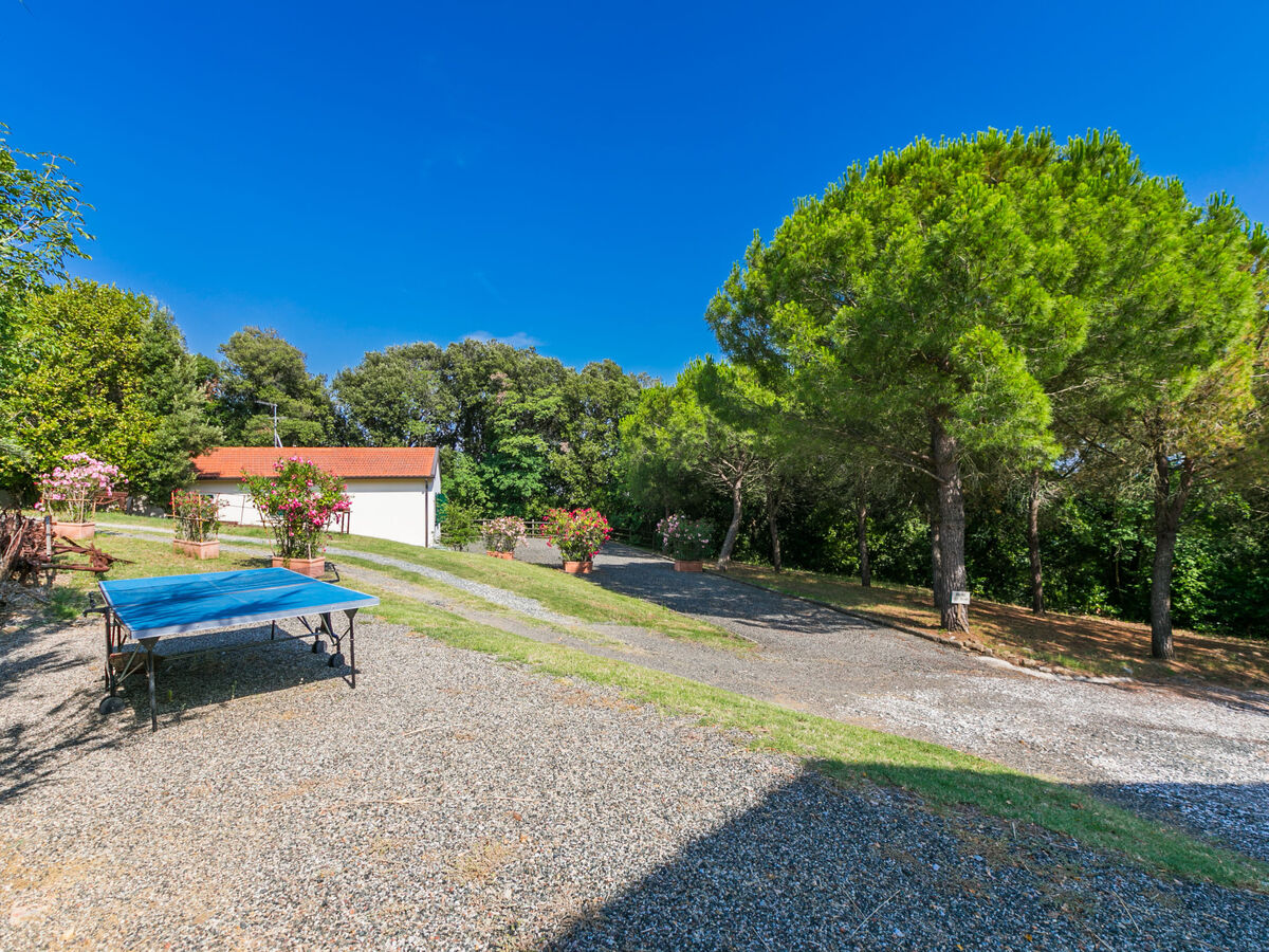 Maison Podere gli Olivi à Castiglioncello, piscine - Photo 32