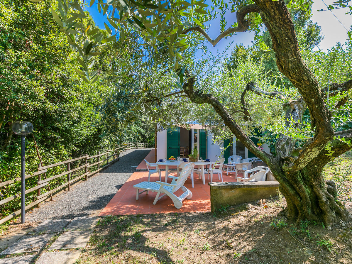 Maison Podere gli Olivi à Castiglioncello, piscine - Photo 33