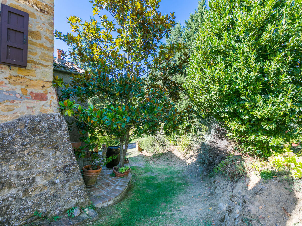Nido, gîte rustique 2 pers. avec vue panoramique - Photo 24