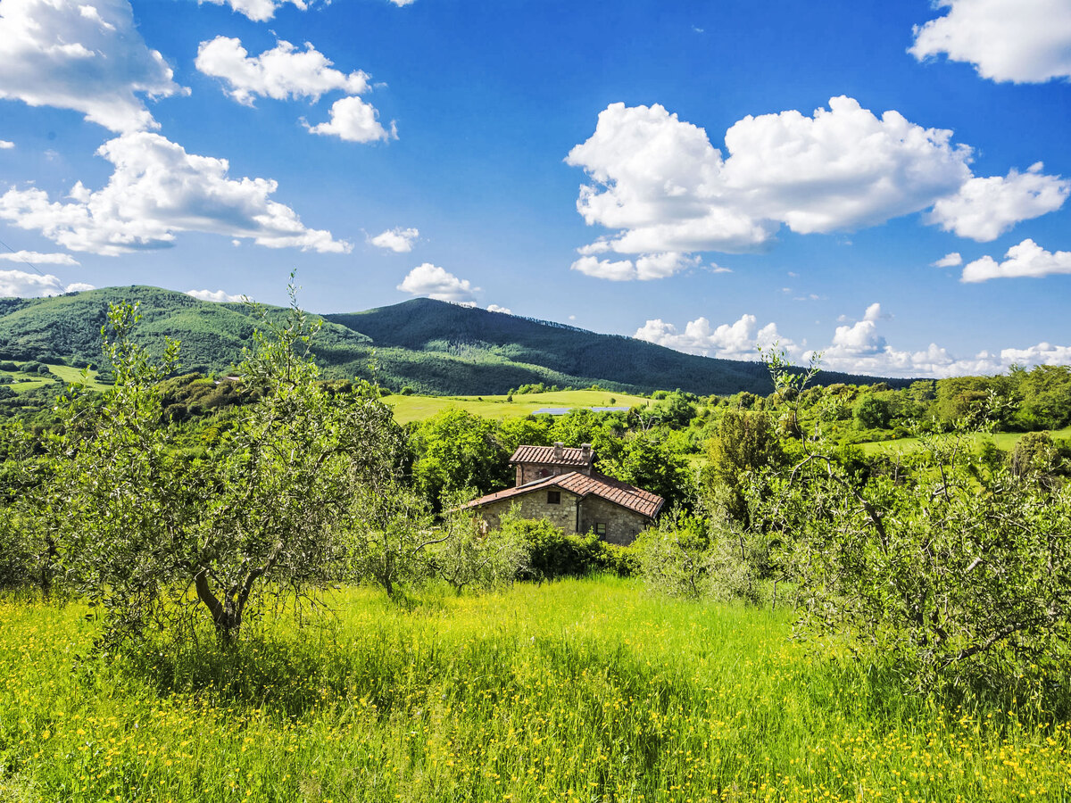 Casale Fonte – Gîte 9 pers. avec piscine à Roccastrada - Photo 36