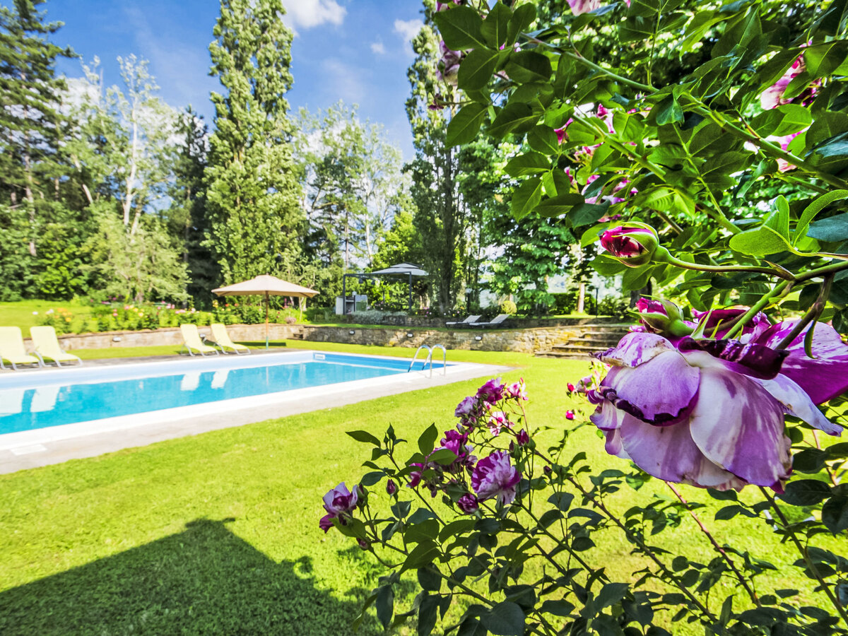 I Tigli – Gîte 2 pièces avec piscine à Rufina - Photo 12