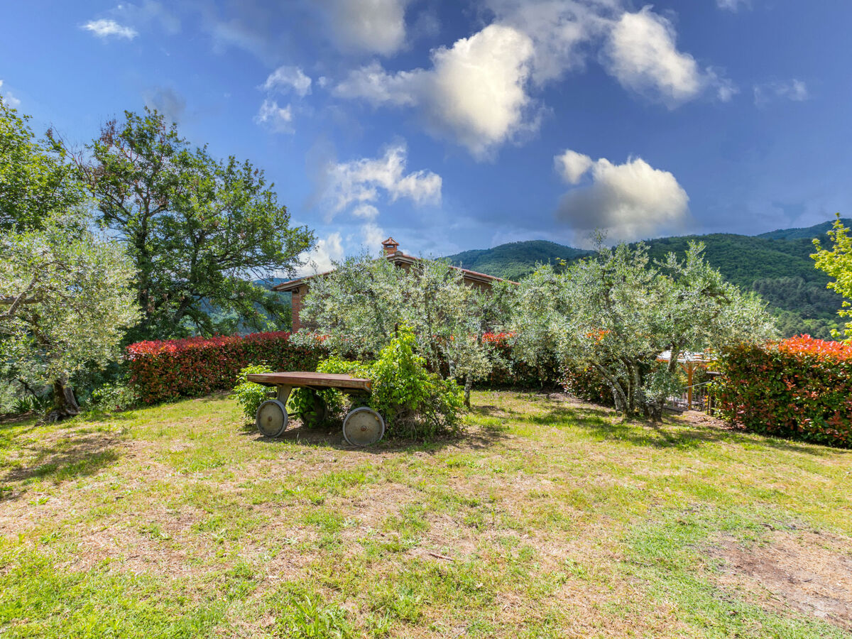 Tegliaia, gîte toscan 6 pers. avec piscine - Photo 51