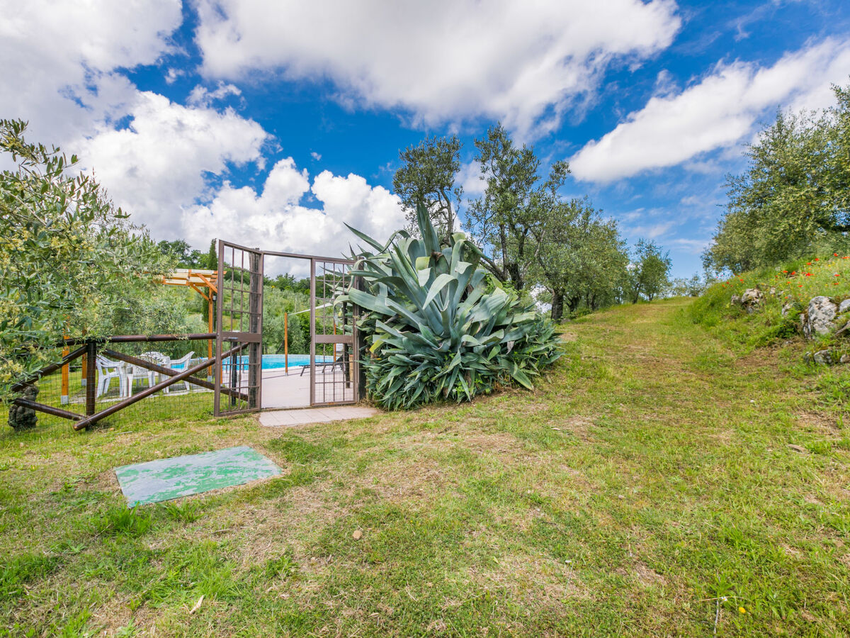 Tegliaia, gîte toscan 6 pers. avec piscine - Photo 60