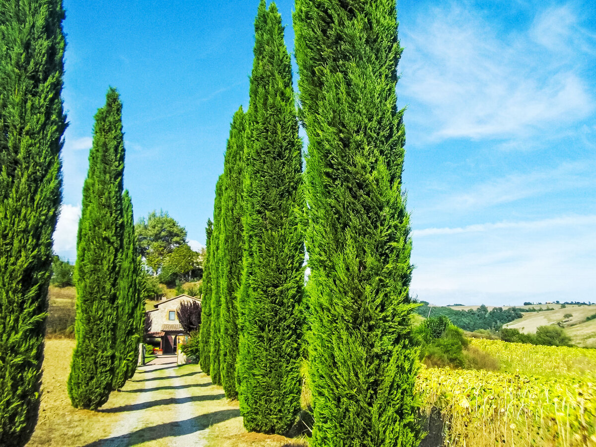 Villa Podere Agnese – 6 pers., piscine et jardin en Toscane - Photo 25
