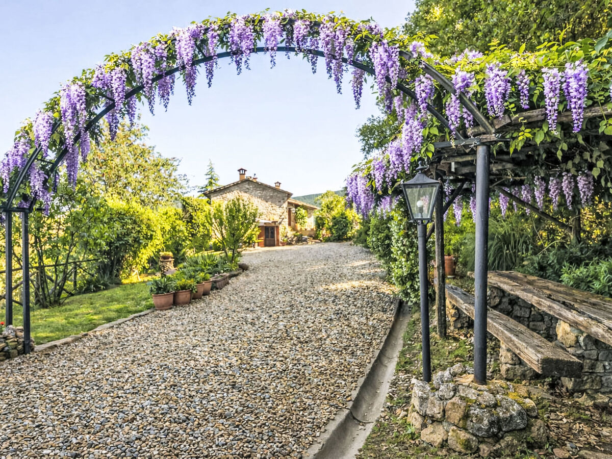 Il Casale – Gîte 6 pers. avec piscine à Monticiano - Photo 1
