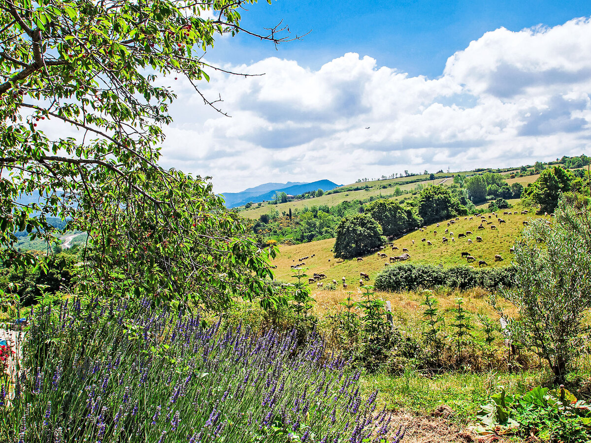 Gîte Papavero à Arcidosso, 4 pers, piscine - Photo 27