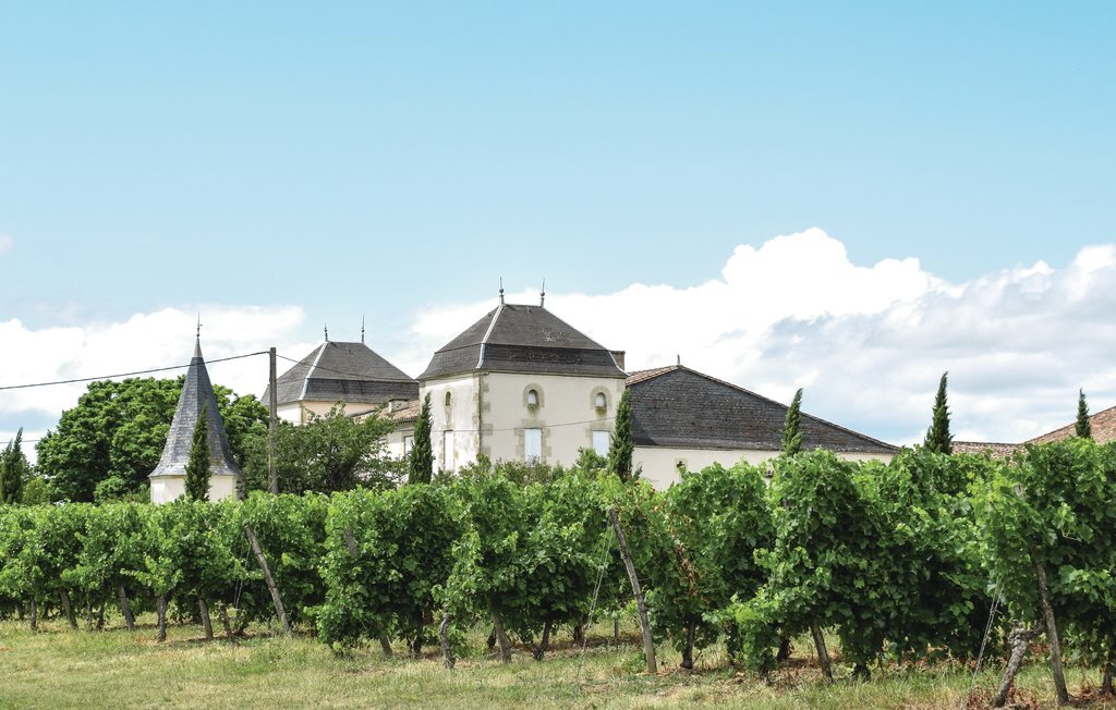 Ferme restaurée avec piscine privée à Massugas - Photo 22